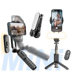 Gimbal Mini Selfie Stick cu LED si Trepied, 70cm - Techsuit (Q09) - Negru Negru
