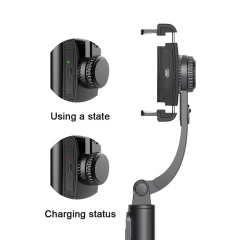 Selfie Stick Stabil cu Telecomanda, 75cm - Techsuit (Q08) - Negru Negru