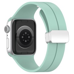 Curea pentru Apple Watch 1/2/3/4/5/6/7/8/SE/SE 2 (38/40/41mm) - Techsuit Watchband (W011) - Verde