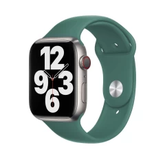 Curea Apple Watch 1/2/3/4/5/6/7/8/SE - 38/40/41 MM - M / L - Silicone Sport Casey Studios Casey Studios - Webster Green Marine 