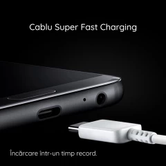 Cablu de Date Type-C la Type-C Fast Charging 3A, 1.8m - Samsung (EP-DX310JBE) - Black (Bulk Packing) Negru